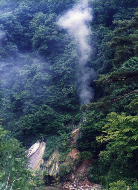 img778