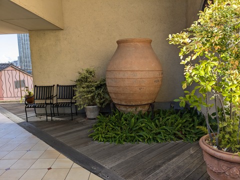 PXL_20241210_012119680