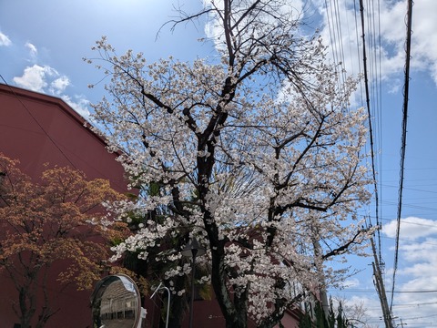 PXL_20250404_031340953