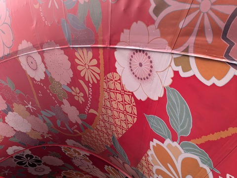 PXL_20251013_010254515.MP