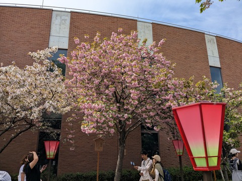 PXL_20260414_041619435