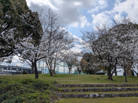 PXL_20250403_003532281