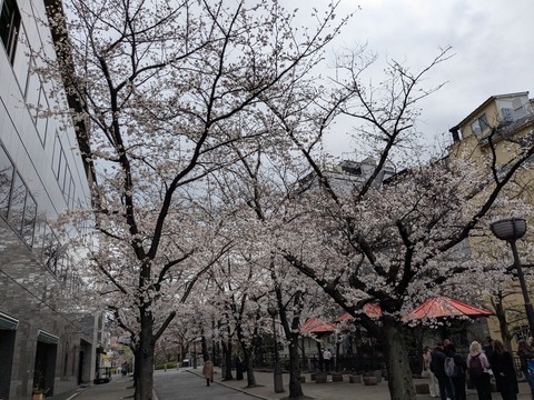 PXL_20250401_005236793