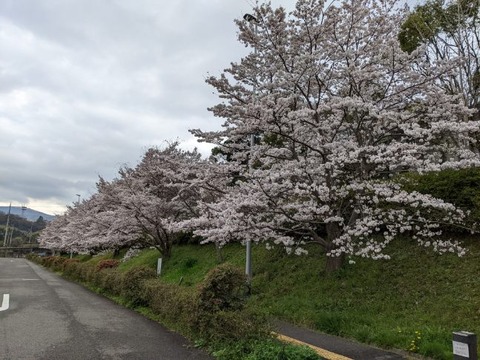 image000000