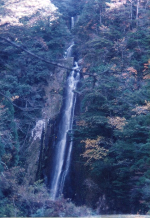 img20231016_14503843