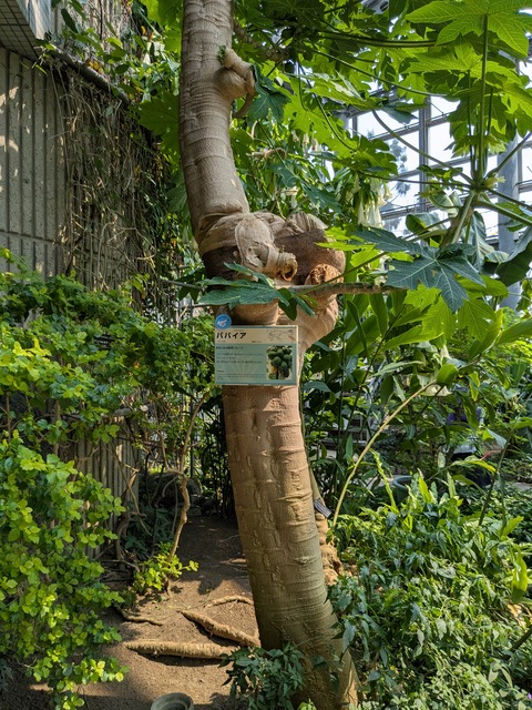 PXL_20250416_045147426