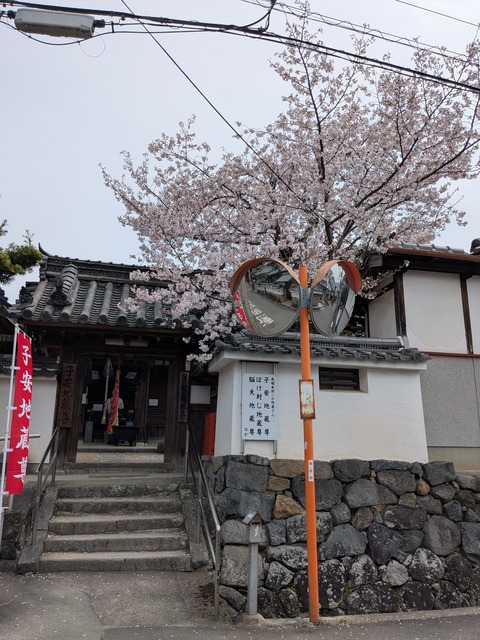 PXL_20260406_025620688