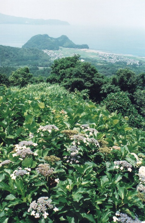 img20240826_16483873