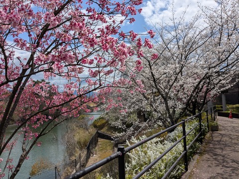 PXL_20250403_032430740