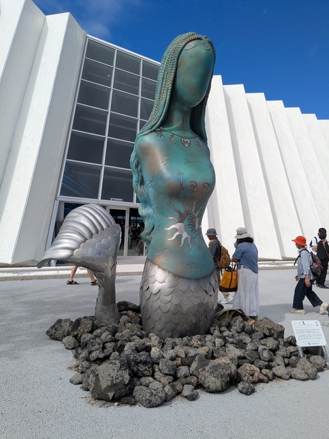 PXL_20251013_034736021