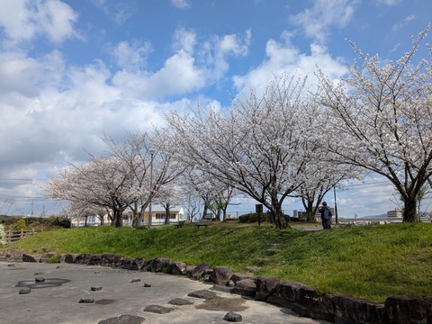 PXL_20250403_003544198