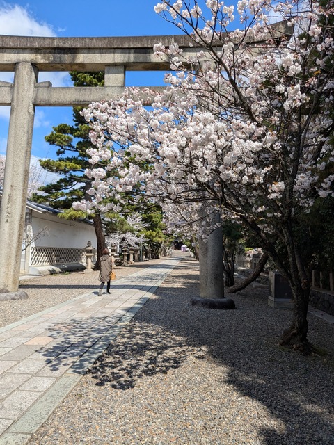 PXL_20250331_015432753