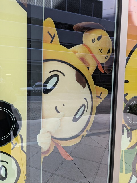 PXL_20250307_031346345.MP