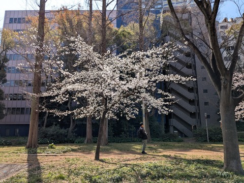 PXL_20260327_011303925