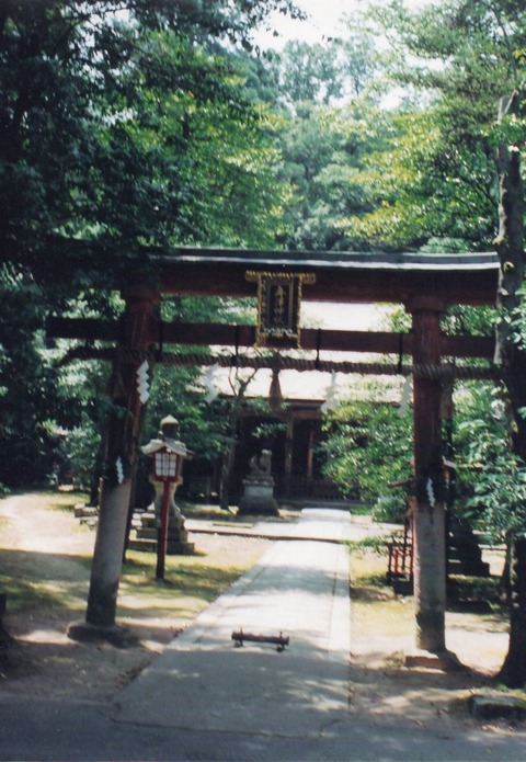 img20240826_16513045