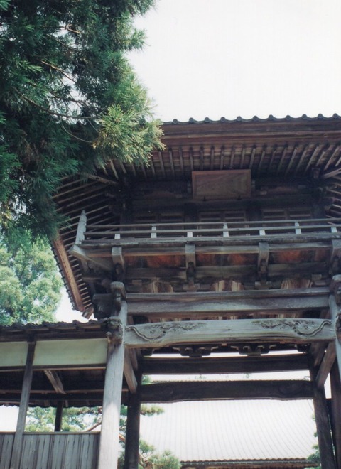 img20240826_16551613