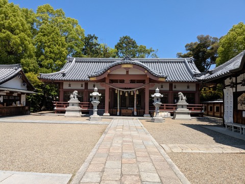 PXL_20260519_015525959.MP