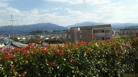 １９葛城山水越峠金剛山