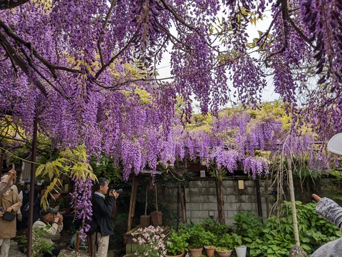 PXL_20240422_014419469