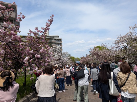 PXL_20260414_040620224.MP