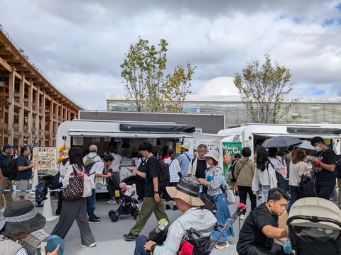 PXL_20251013_030218367