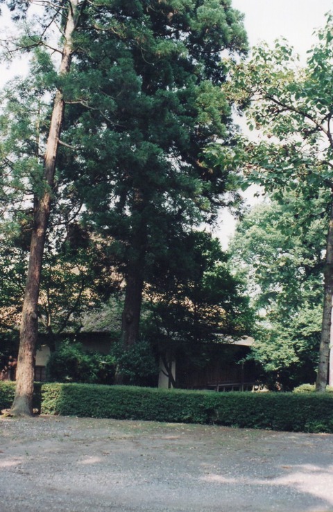 img20240826_17065275