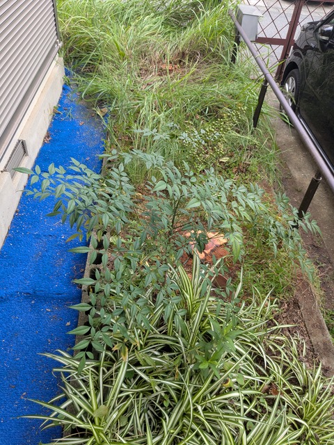 PXL_20260927_042434766