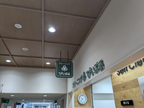 PXL_20241015_013515053