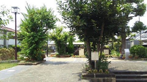 7公園