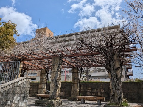 PXL_20250404_031228670