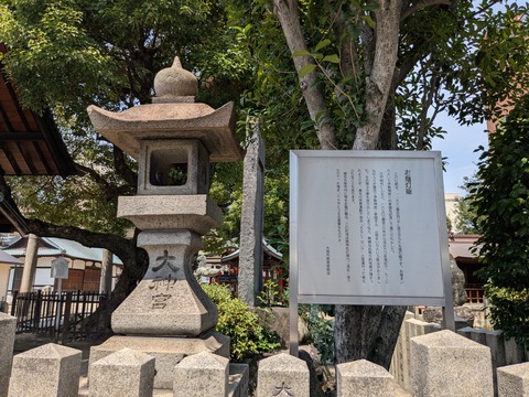 PXL_20250701_013551213