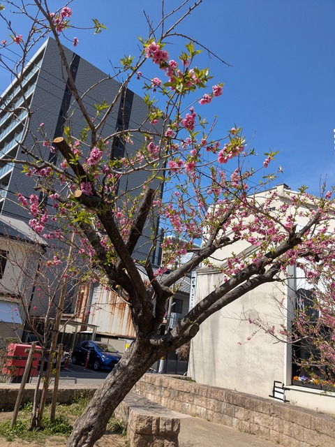 PXL_20260317_040301700