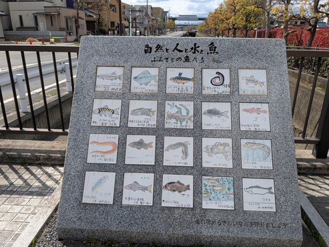 PXL_20250404_005324634