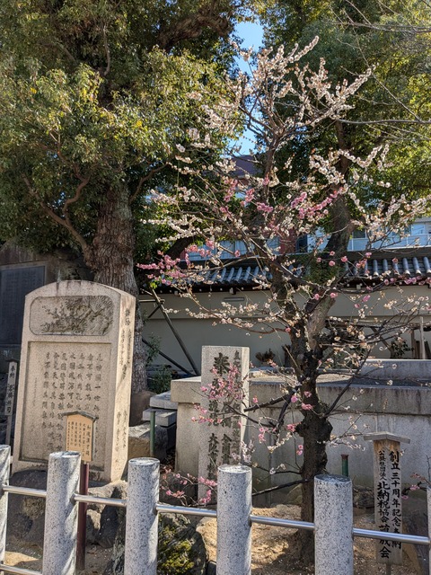 PXL_20260317_050348251