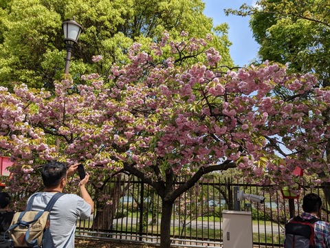 PXL_20230411_034742645