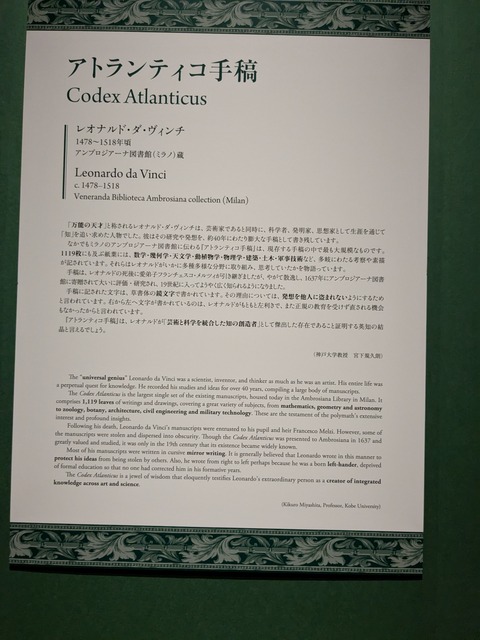 PXL_20251028_015551565