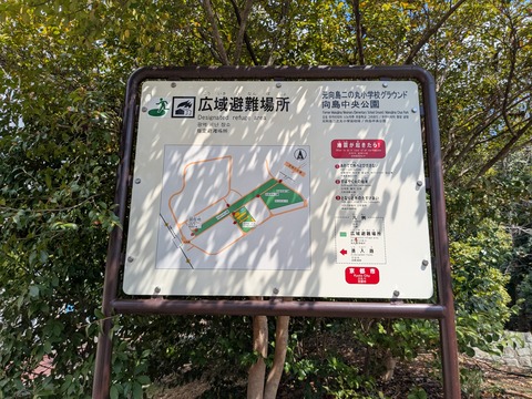 PXL_20250404_031120899