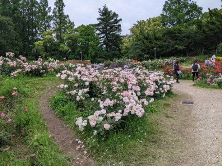 image000005