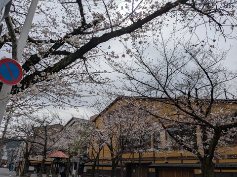 PXL_20250401_004953757