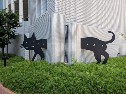 PXL_20250617_015122343.MP