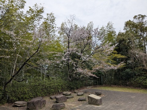 PXL_20260407_003510595