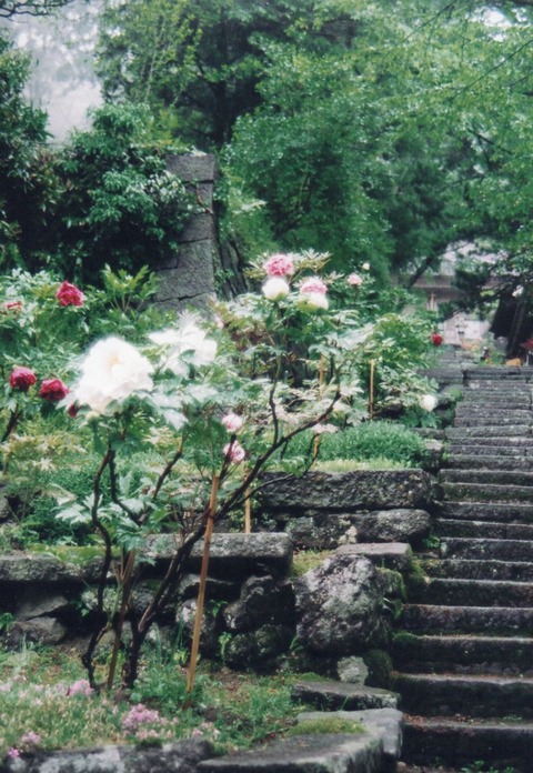 img20240812_13345568