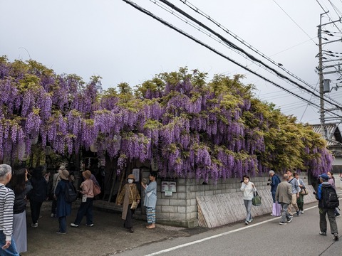 PXL_20240421_014657422