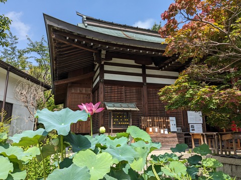 PXL_20230706_003840526