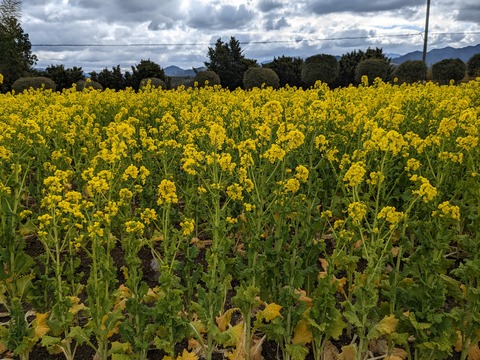 PXL_20240216_013251356