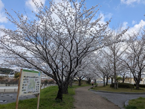 PXL_20250403_003321191