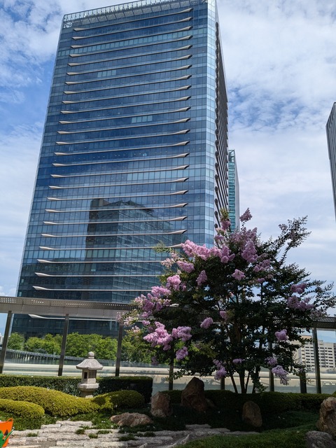 PXL_20240709_003144798