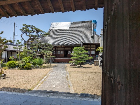 PXL_20240526_023253814
