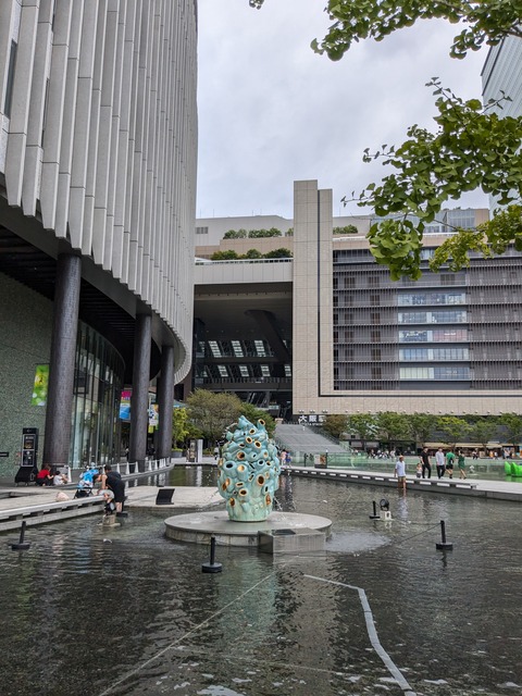 PXL_20240816_033510743