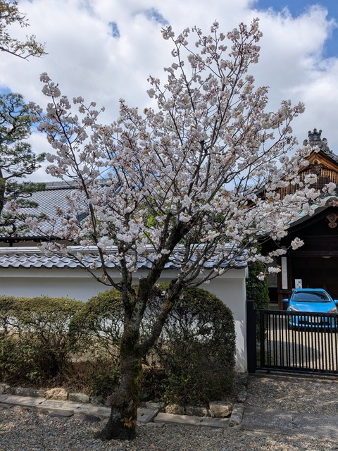 PXL_20250404_015608793